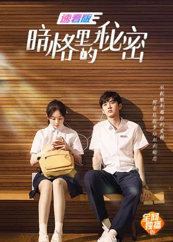 暗格里的秘密 速看版 海报