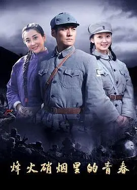 烽火硝烟里的青春 海报
