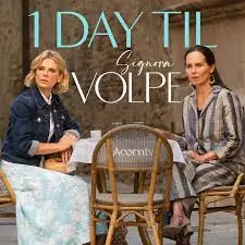 《狐狸女士 第二季》：不止是可爱！成人童话的现实拷问与情感治愈之旅